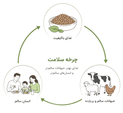 چرخه سلامت دستچین عالی