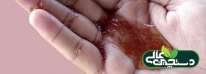 آرتمیای دریاچه ارومیه برای پرورش میگو و ماهی