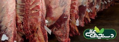 توقف واردات گوشت در گرو افزایش بهره وری دام