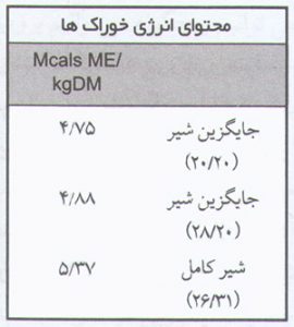 خوراک دهی گوساله و تبدیل گوساله به تلیسه برتر