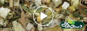 ذرت علوفه ای بسته بندی شده به صورت مکانیزه