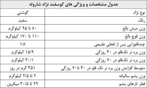 مشخصات و ویژگی های گوسفند نژاد شاروله