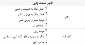 علائم سخت زایی گاو