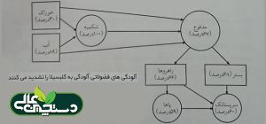 ورم پستان کلبسیا با کاهش تماس محدود می شود