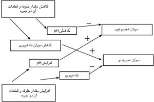 فیبر مؤثر در تغذیه نشخوارکنندگان (peNDF)