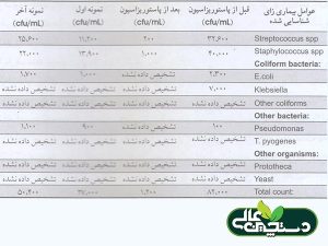 بررسی نمونه شیر قبل و بعد از پاستوریزه کردن در جدول (1) نشان می دهد که این عمل در کاهش میزان باکتری ها مؤثر بوده است و مشکل در ارائه شیر به گوساله ها می باشد.