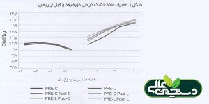 لیزین و متیونین تولید و سلامت گاو را افزایش می دهند