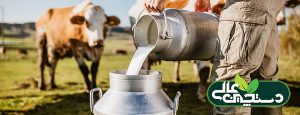 با پاستوریزه کردن صحیح و مدیریت خوراک مایع می توان در معرض قرار گرفتن گوساله ها در برابر جمعیت بالایی از باکتری ها را به میزان زیادی کاهش داد و با بهبود افزایش وزن می توان نرخ بیماری و مرگ و میر را کاهش داد.
