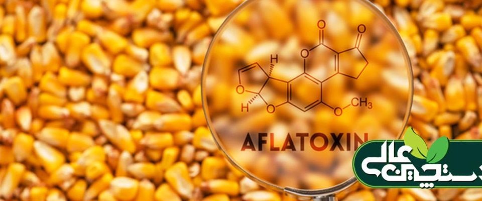 اخبار دام طیور آبزیان تیرماه 1402