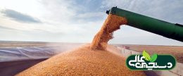 مسیر جدید کریدور غلات روسیه از سرخس میگذرد