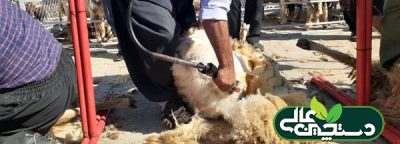 اخبار دام طیور آبزیان بهمن 1402