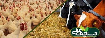 اخبار دام طیور آبزیان فروردین 1403
