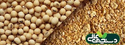 اخبار دام طیور آبزیان اردیبهشت 1403