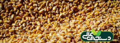 قیمت نهاده های خوراک دام و طیور کمتر از نرخ مصوب عرضه می‌شود